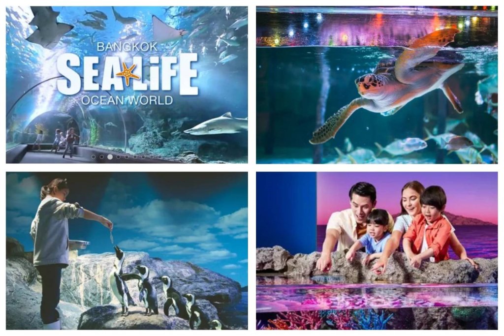 Sea-Life-Bangkok-Ocean-World-recommend